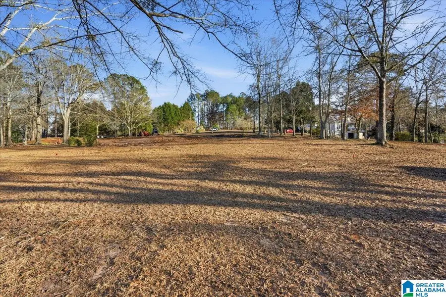 2425 COUNTY ROAD 6, Wedowee, AL 36278 - Image #2