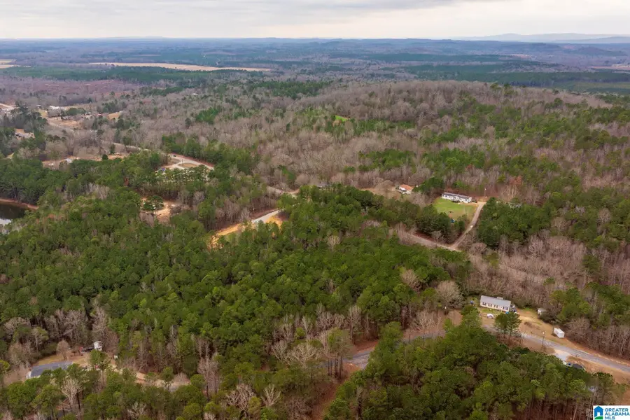 0 FRANKIES ROAD, Vincent, AL 35178 - Image #2