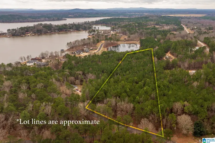 0 FRANKIES ROAD, Vincent, AL 35178 - Image #3