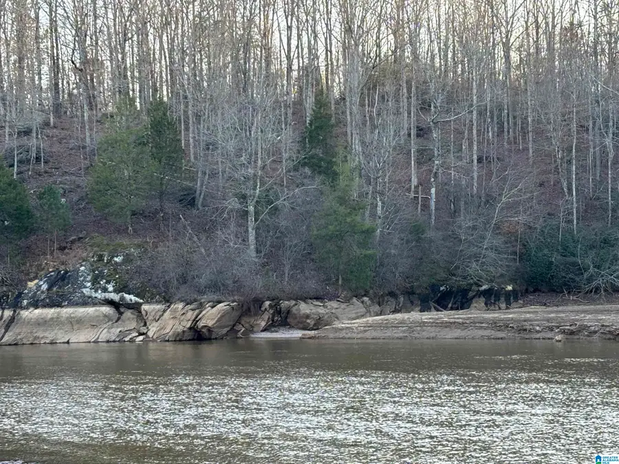 Lot 7 COUNTY ROAD 499, Woodland, AL 36280 - Image #2