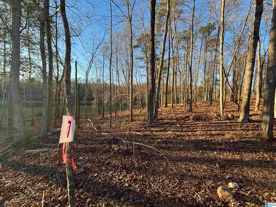 Lot 7 COUNTY ROAD 499, Woodland, AL 36280 - Image #3