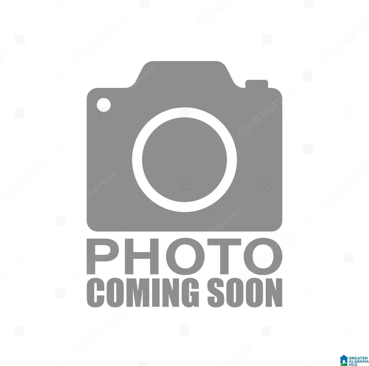 318 BETA STREET, Birmingham, AL 35205 - Image #1