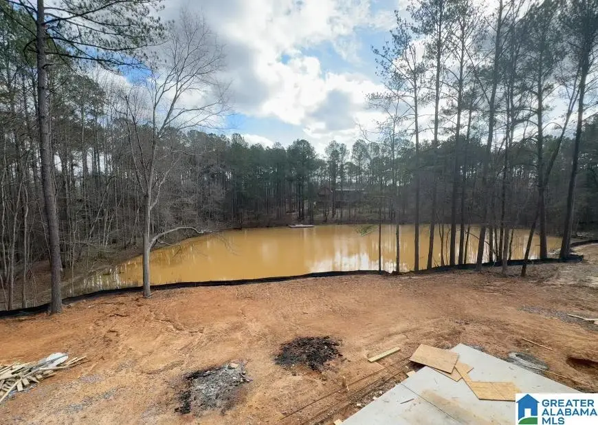 198 RIVER BIRCH ROAD, Chelsea, AL 35043 - #3