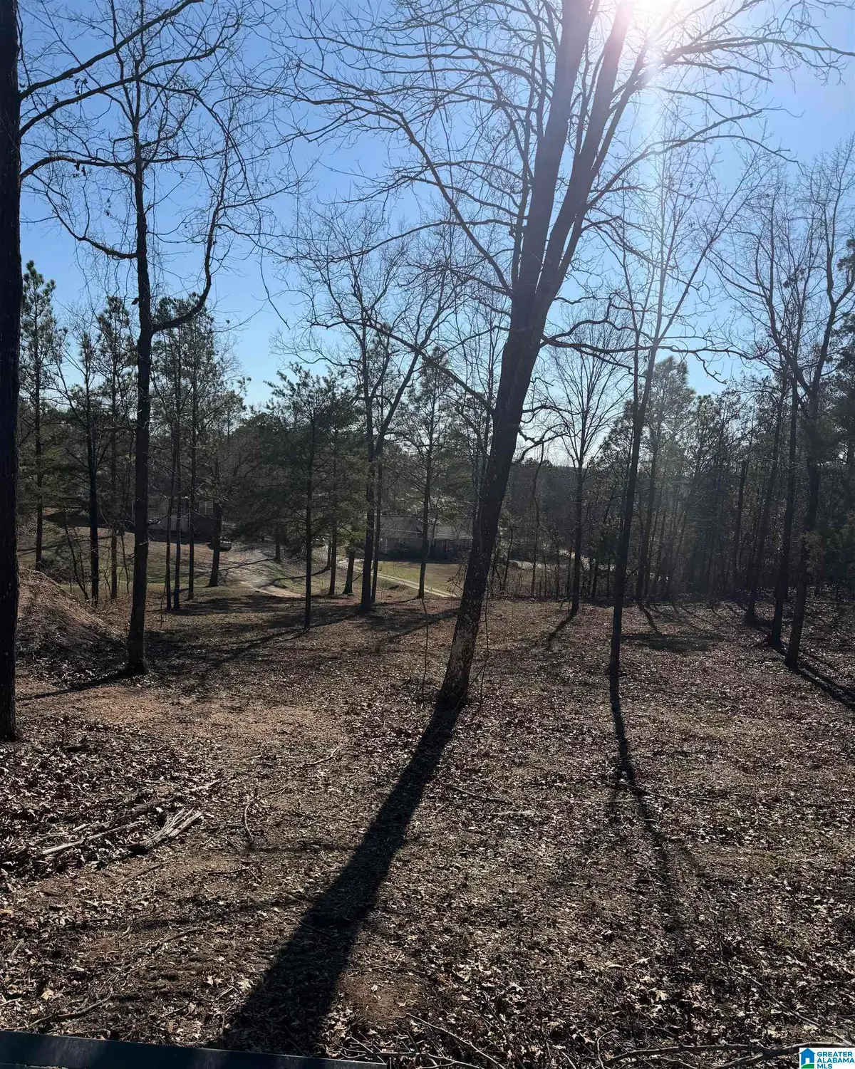 688 COUNTY ROAD 230, Isabella Pletcher, AL 35171 - #1