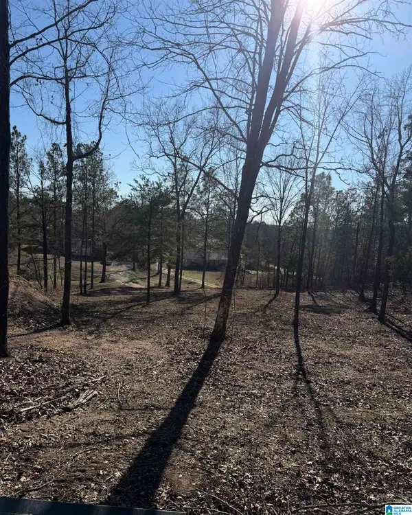 688 COUNTY ROAD 230, Clanton, AL 35171