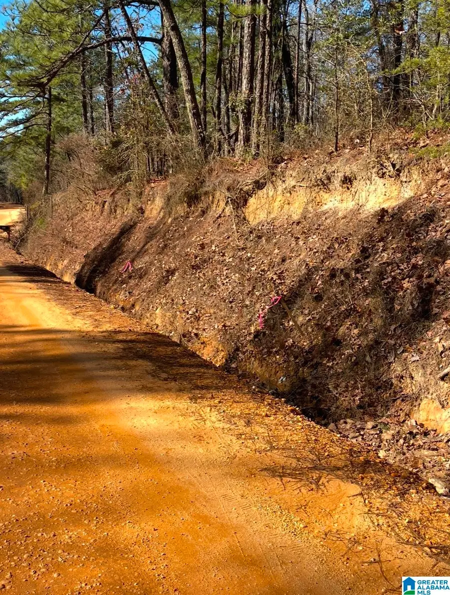 688 COUNTY ROAD 230, Isabella Pletcher, AL 35171 - #2