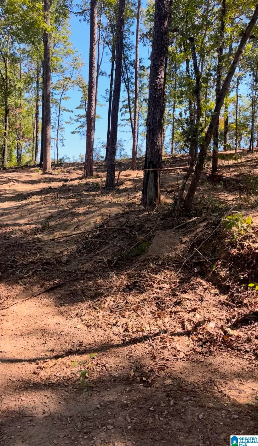 688 COUNTY ROAD 230, Isabella Pletcher, AL 35171 - #3