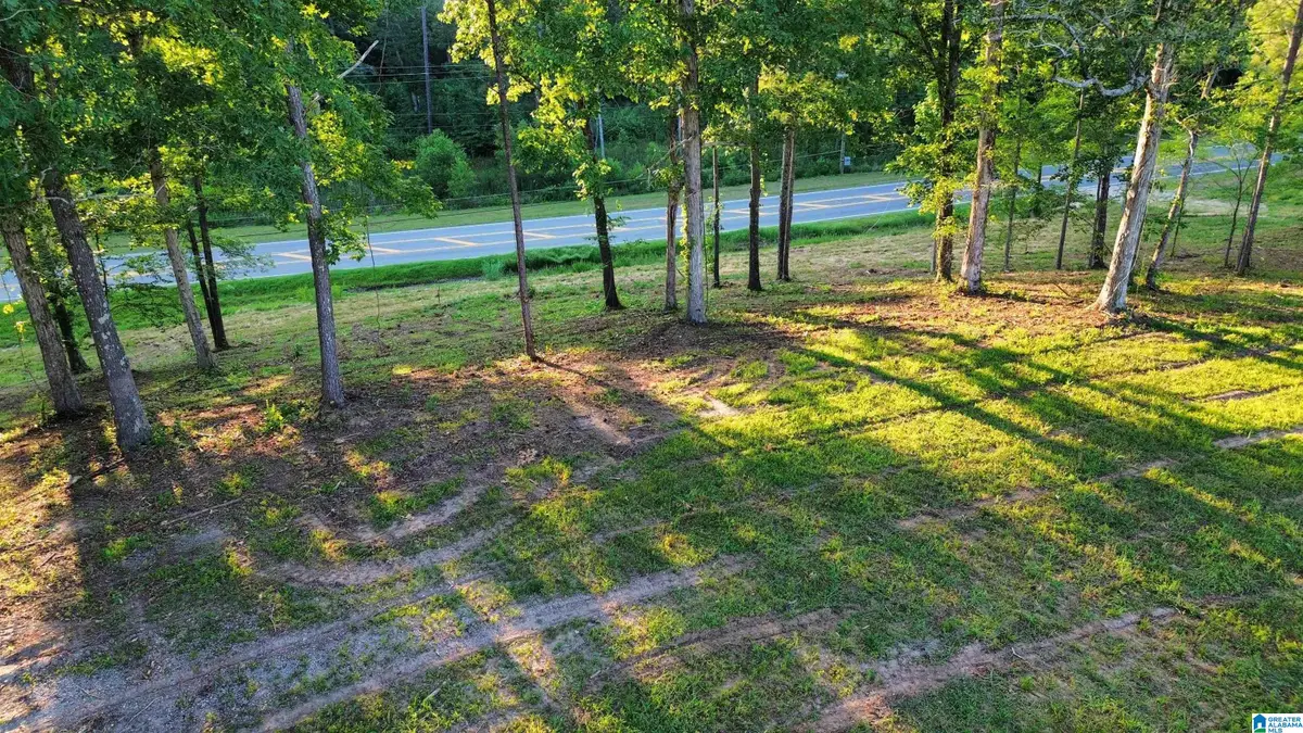 00 HIGHWAY 160, Warrior, AL 35180 - Image #1