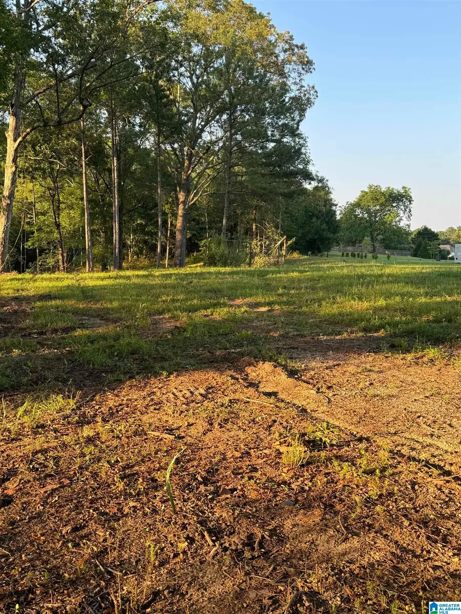 00 HIGHWAY 160, Warrior, AL 35180 - Image #2