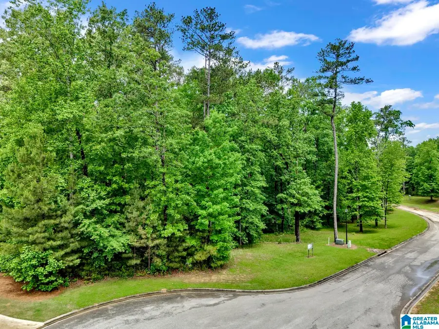 6738 DOUBLE OAK COURT, Birmingham, AL 35242 - Image #2