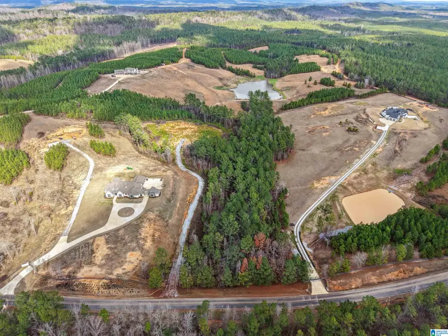 6809 JOINERTOWN ROAD, Columbiana, AL 35051 - Image #3