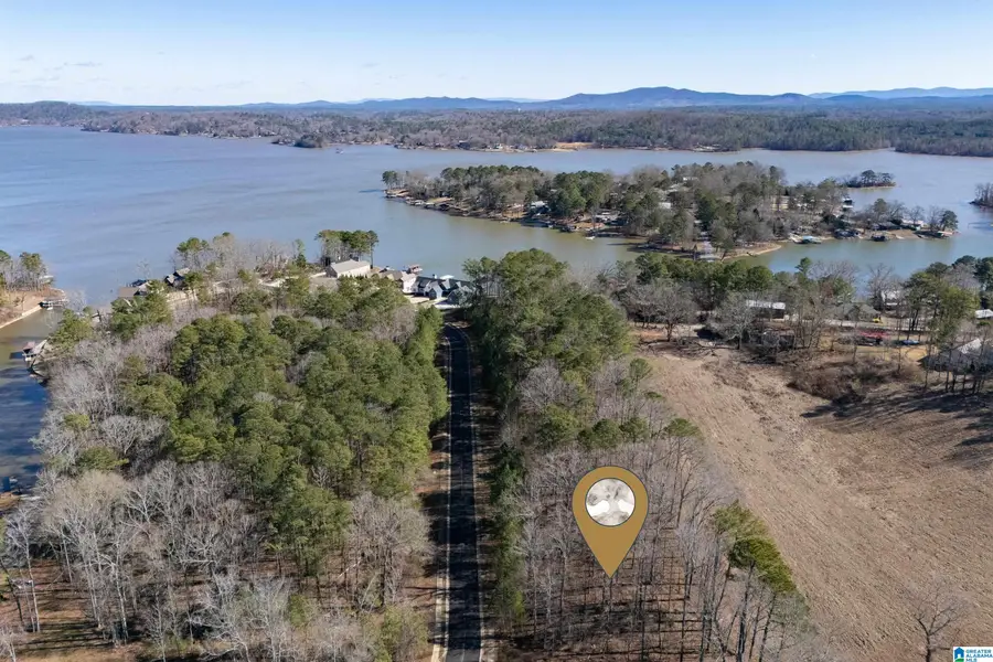 100 COVES DRIVE, Vincent, AL 35178 - Image #2