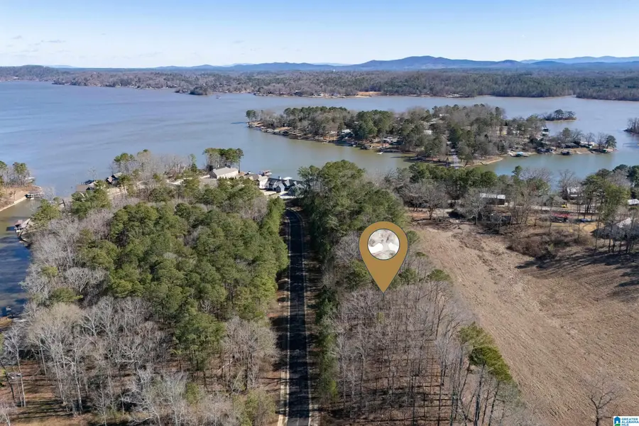 110 COVES DRIVE, Vincent, AL 35178 - Image #2