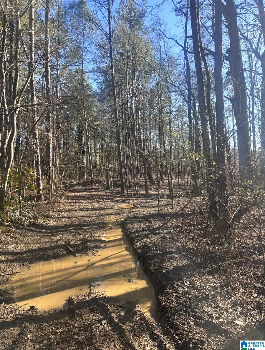 RENAEE CIRCLE, McCalla, AL 35111 - #3