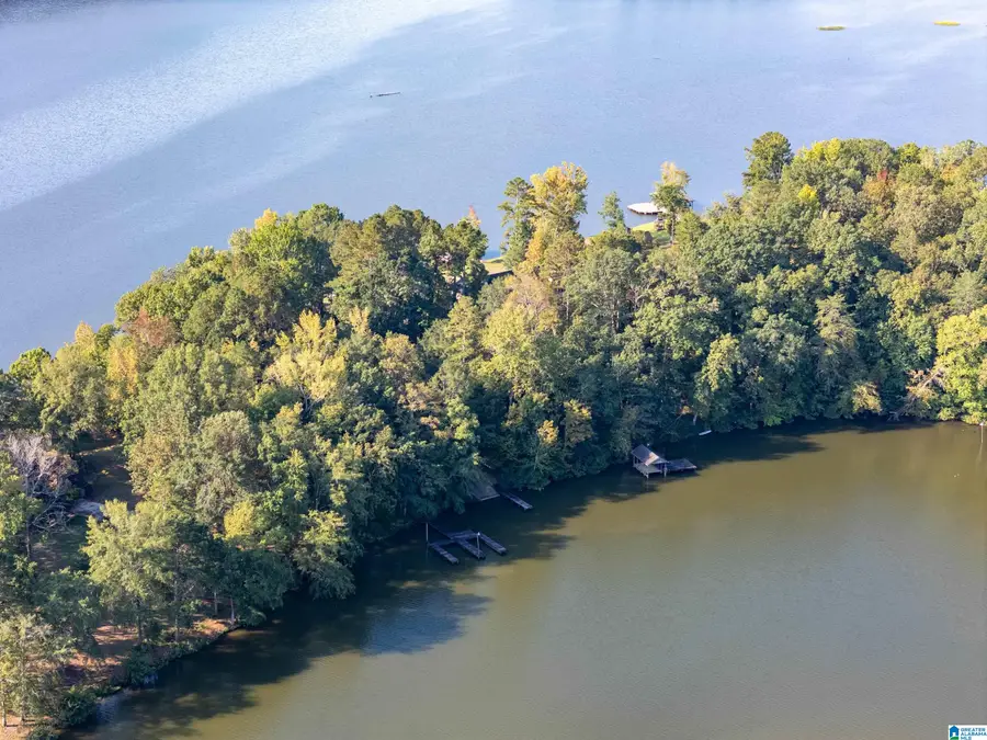 10 COUNTY ROAD 479, Cedar Bluff, AL 35959 - #2