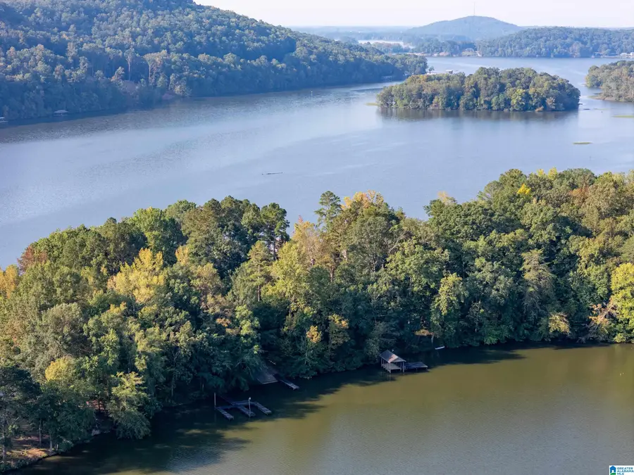 10 COUNTY ROAD 479, Cedar Bluff, AL 35959 - #3