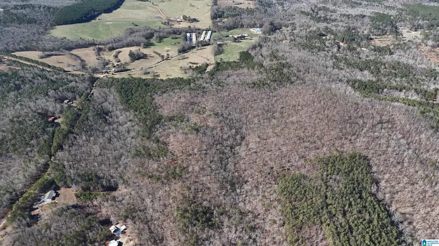 0 COUNTY ROAD 252, Wedowee, AL 36278 - Image #2