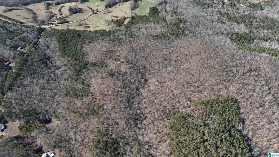 0 COUNTY ROAD 252, Wedowee, AL 36278 - Image #3