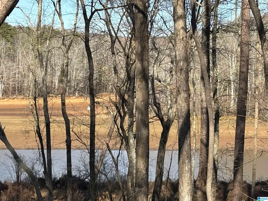 Lot 11 COUNTY ROAD 499, Woodland, AL 36280 - Image #2