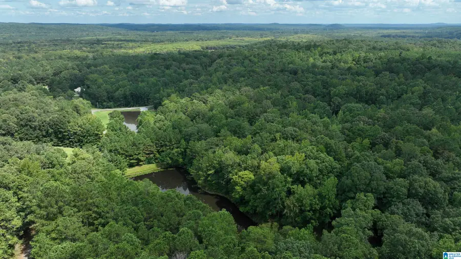 0 OAK CREEK ROAD, Fayette, AL 35555 - #2