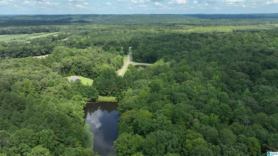 0 OAK CREEK ROAD, Fayette, AL 35555 - #3