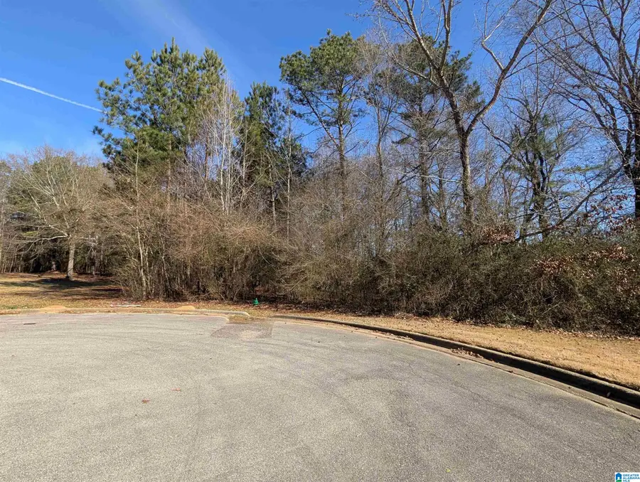 0 MANOR PLACE, Oxford, AL 36203 - Image #2