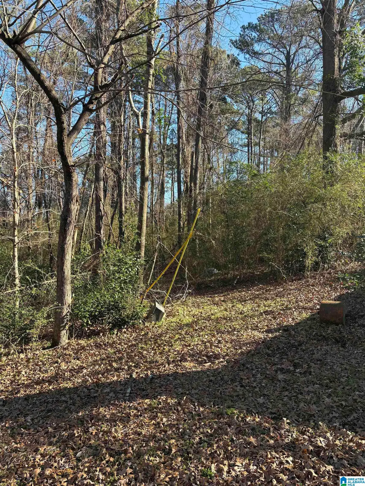 255 LAIRD AVENUE, Hueytown, AL 35023 - Image #1