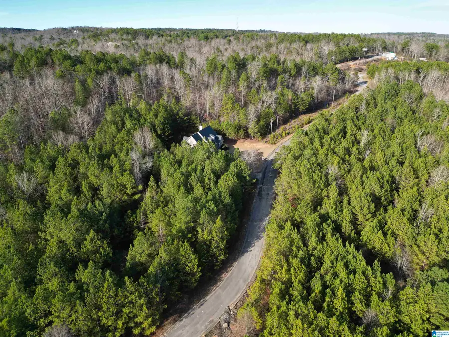 0 CLEVELAND FARMS PARKWAY, Pell City, AL 35125 - #2