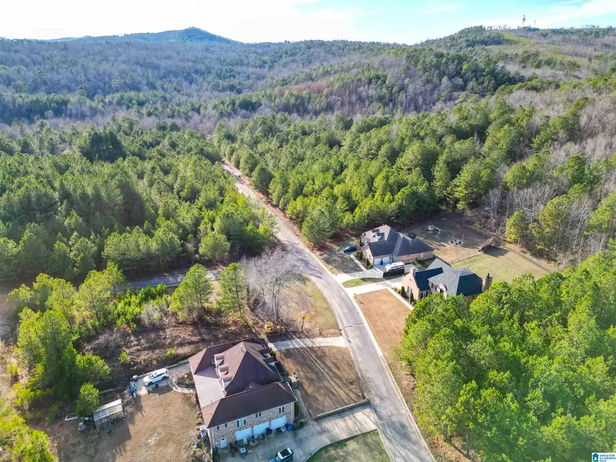 0 CLEVELAND FARMS PARKWAY, Pell City, AL 35125 - #3