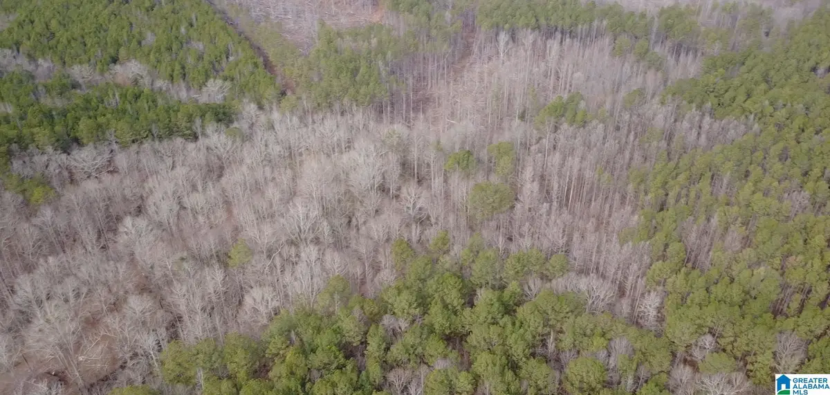 UNKN COUNTY ROAD 15, Heflin, AL 36264 - Image #1