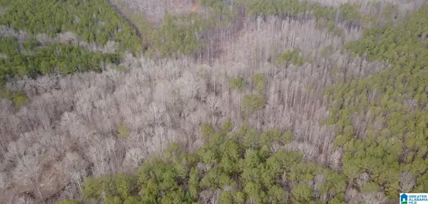 UNKN COUNTY ROAD 15, Heflin, AL 36264