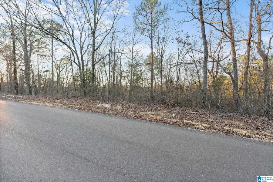 27 MOUNTAIN VIEW LANE, Vance, AL 35490 - #2