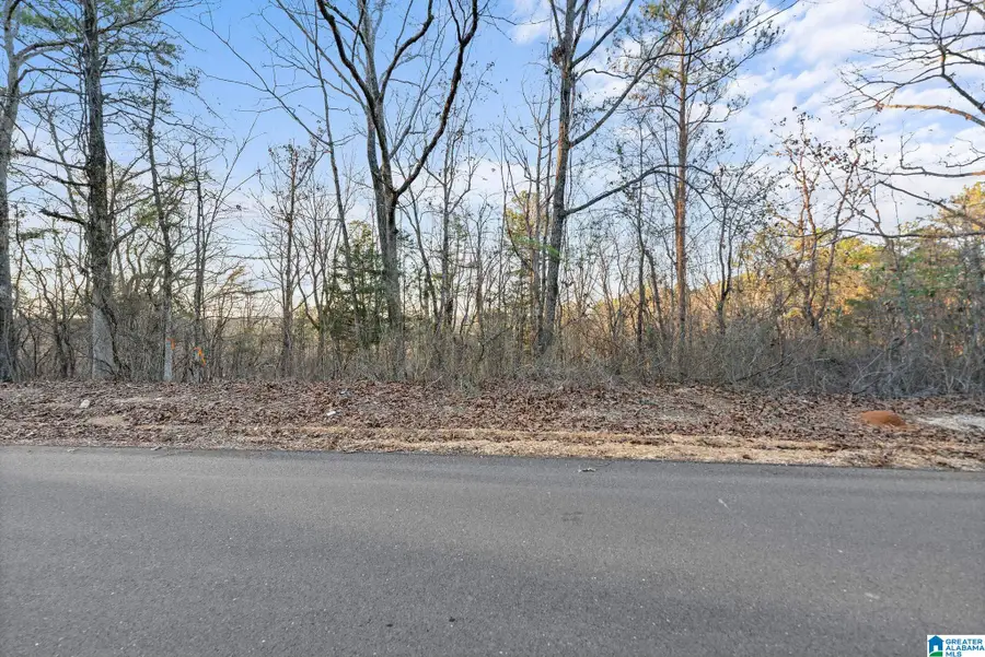 27 MOUNTAIN VIEW LANE, Vance, AL 35490 - #3