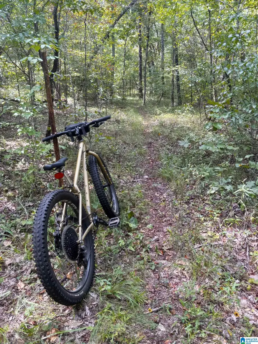 0 KANASITA DRIVE, Pell City, AL 35128 - #3