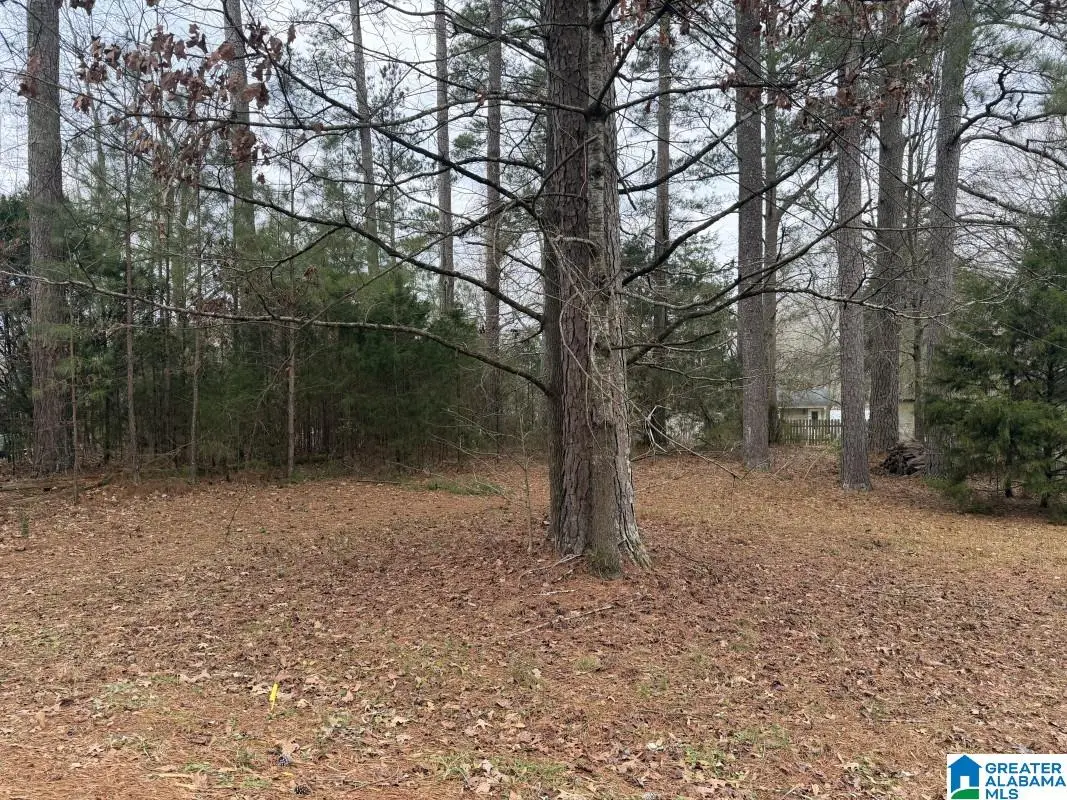 433 6TH STREET N, Pell City, AL 35125 - #1