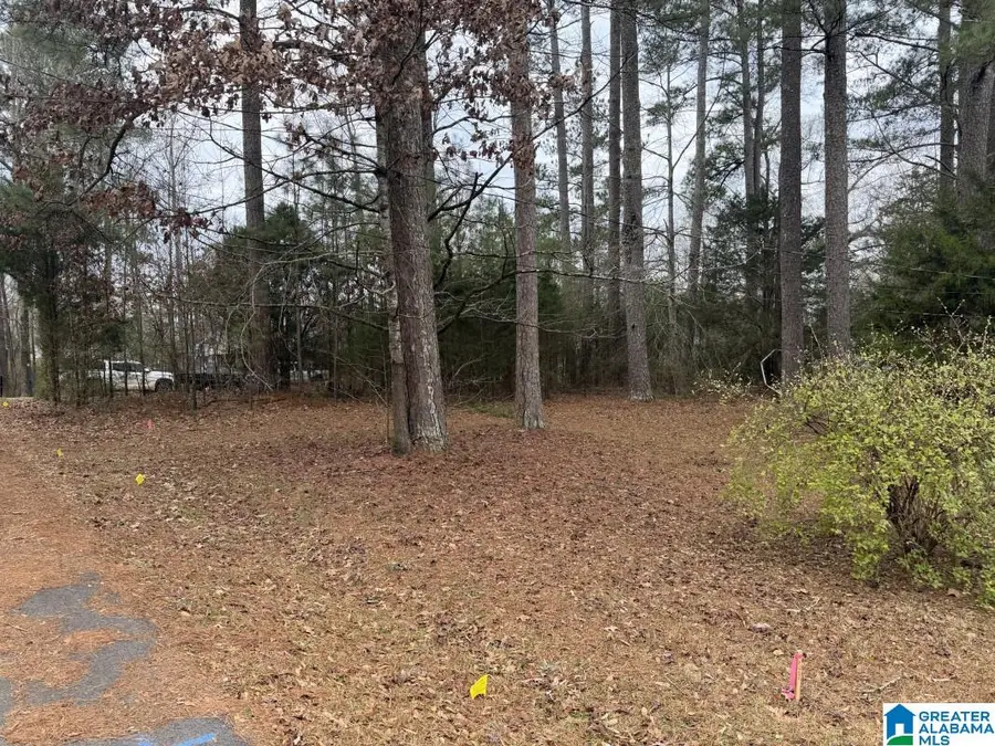 433 6TH STREET N, Pell City, AL 35125 - #2