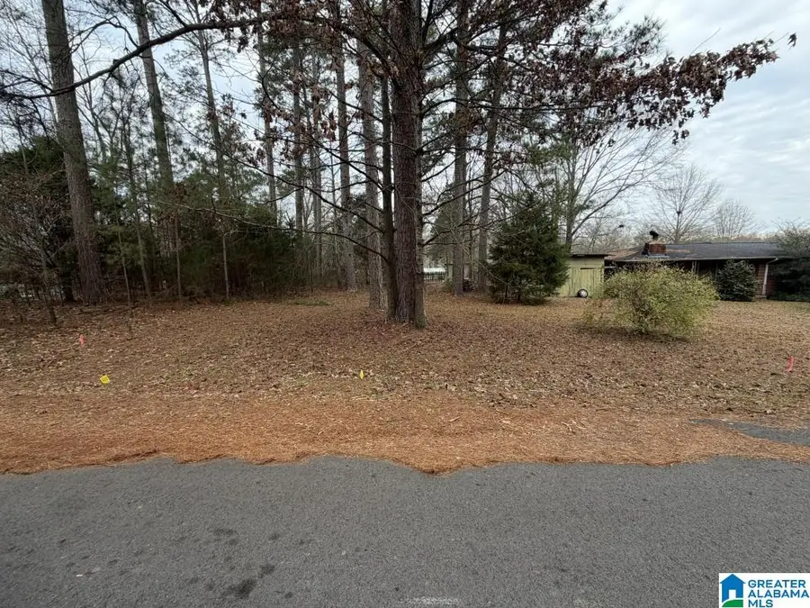 433 6TH STREET N, Pell City, AL 35125 - #3