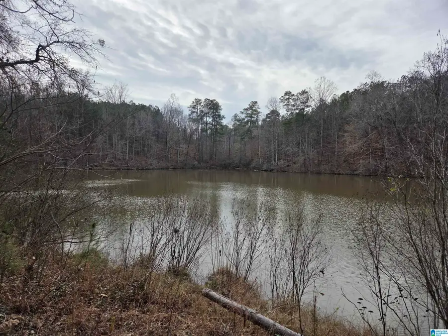 1050 BROOKWOOD DRIVE, Sylacauga, AL 35151 - #3