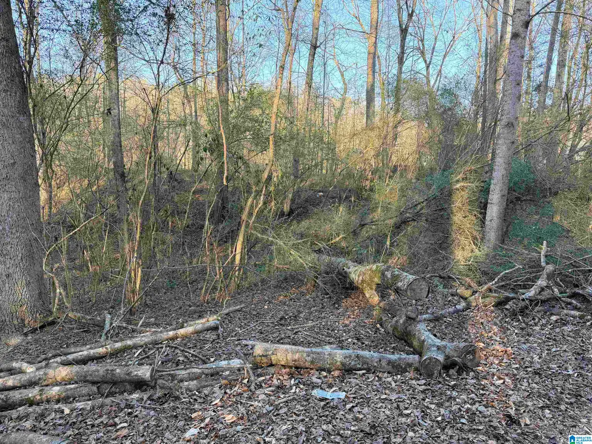 001 SCOTT ROAD, Cordova, AL 35550 - Image #1