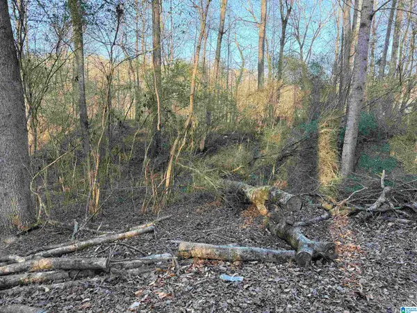 001 SCOTT ROAD, Cordova, AL 35550