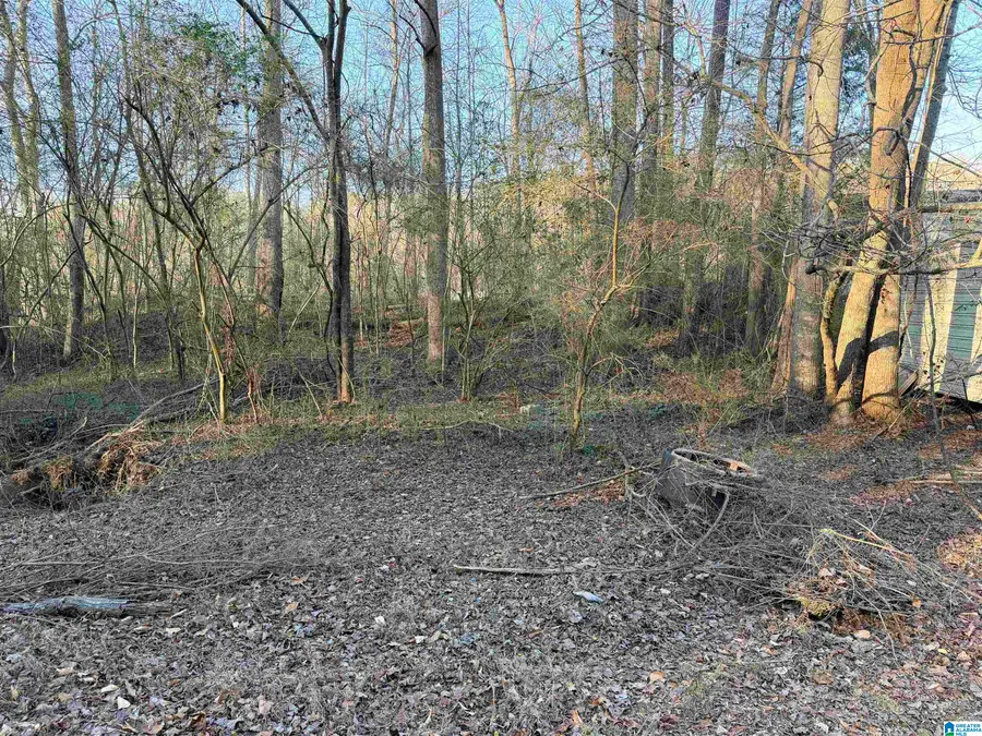 001 SCOTT ROAD, Cordova, AL 35550 - Image #2