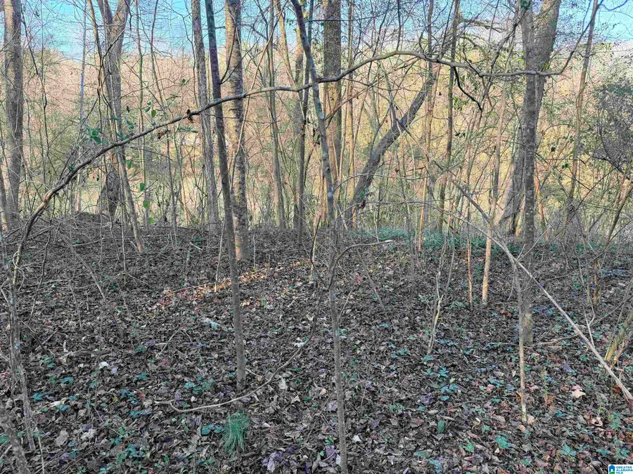 001 SCOTT ROAD, Cordova, AL 35550 - Image #3