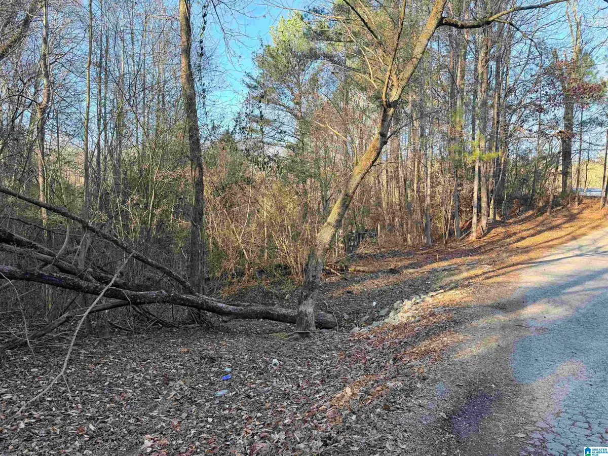 002 SCOTT ROAD, Cordova, AL 35550 - Image #1