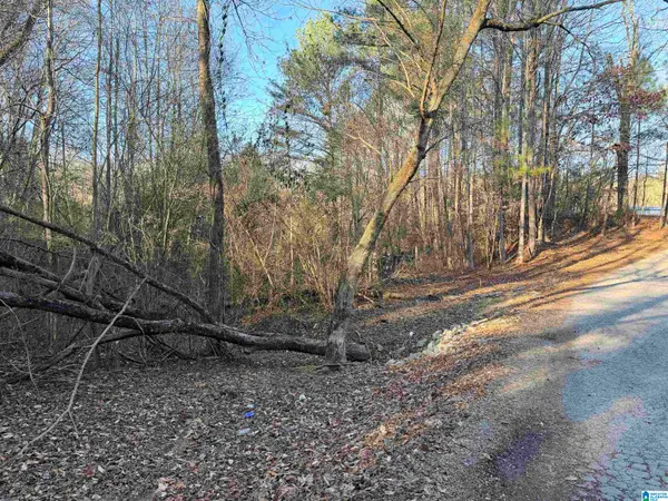 002 SCOTT ROAD, Cordova, AL 35550