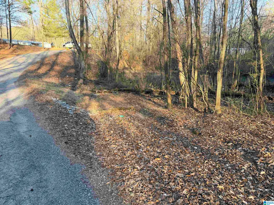 002 SCOTT ROAD, Cordova, AL 35550 - Image #2