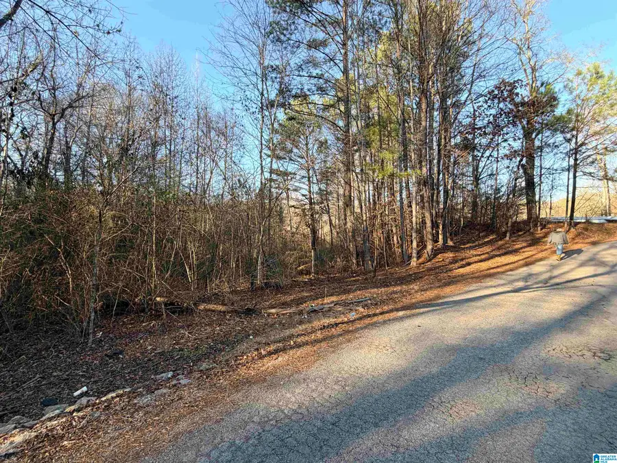 002 SCOTT ROAD, Cordova, AL 35550 - Image #3