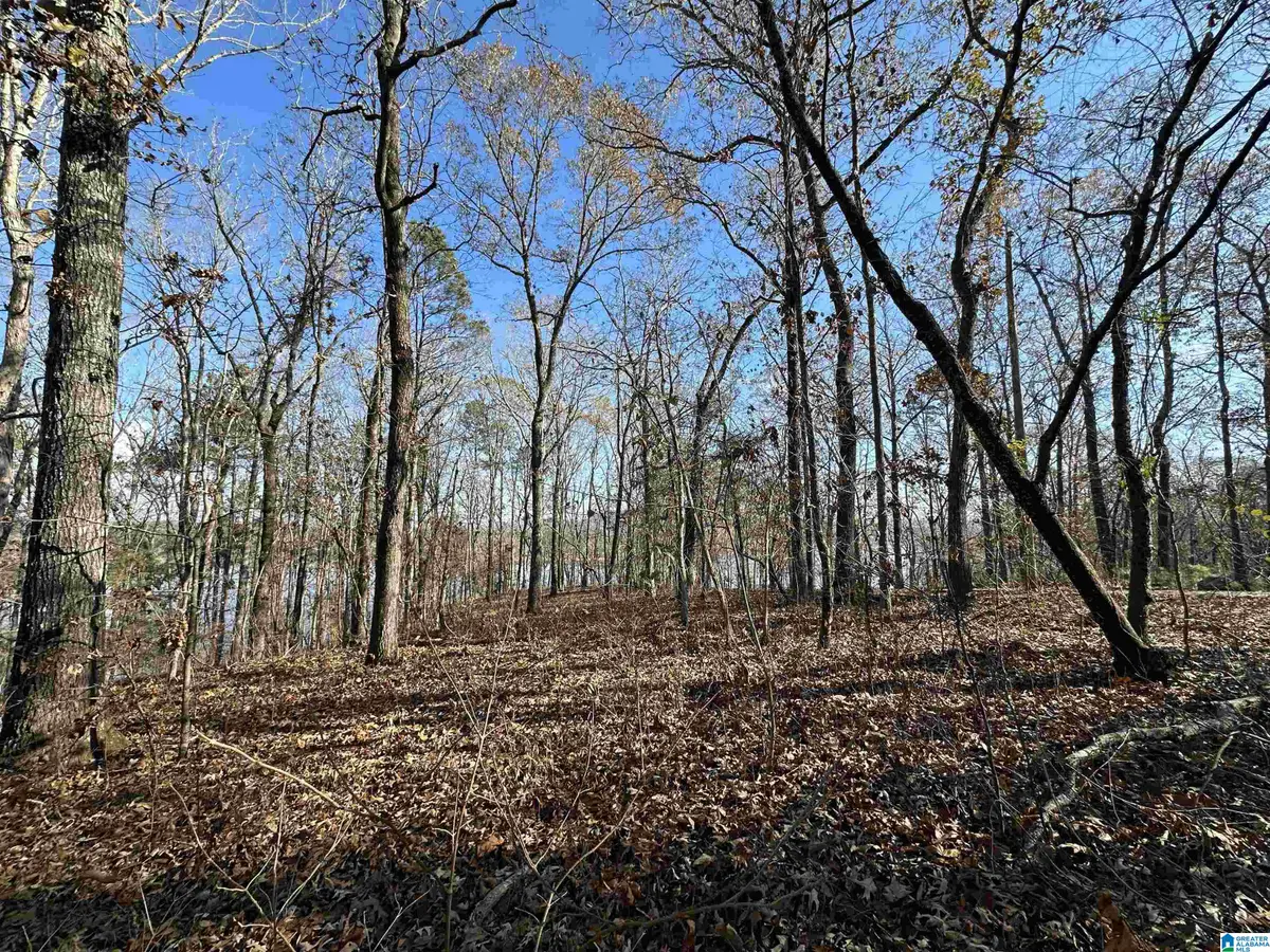 11 BILLINGSLEY DRIVE, Sylacauga, AL 35151 - Image #1