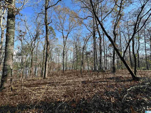 11 BILLINGSLEY DRIVE, Sylacauga, AL 35151