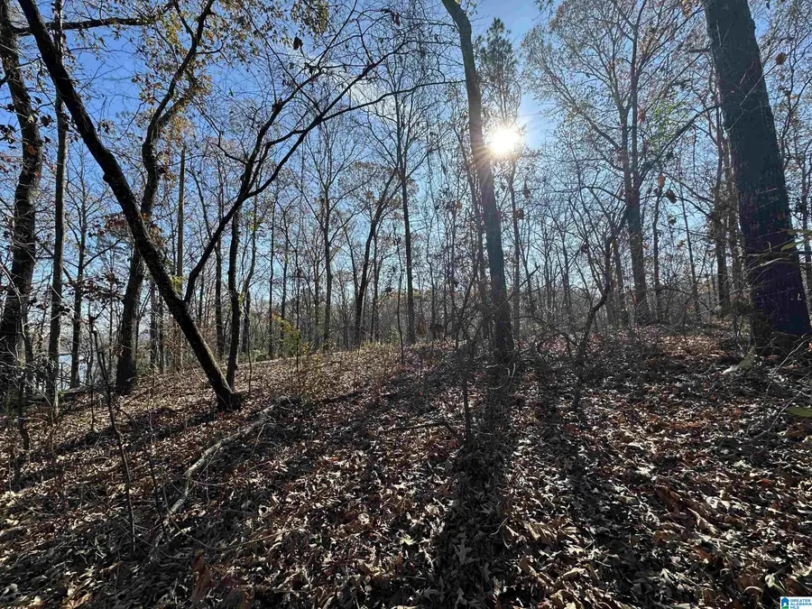 11 BILLINGSLEY DRIVE, Sylacauga, AL 35151 - Image #2