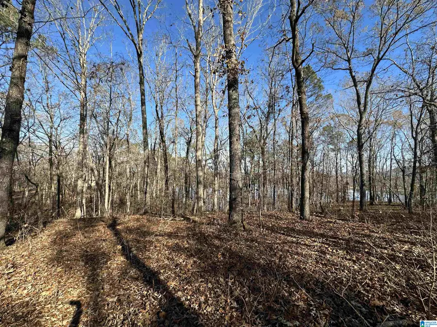 11 BILLINGSLEY DRIVE, Sylacauga, AL 35151 - Image #3